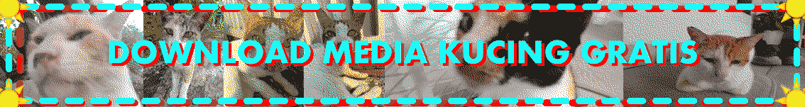 Download media kucing sekarang! Gratis!