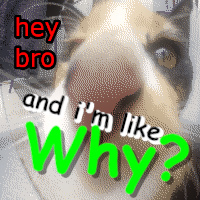 Dan Aku kayak kenapa gitu!